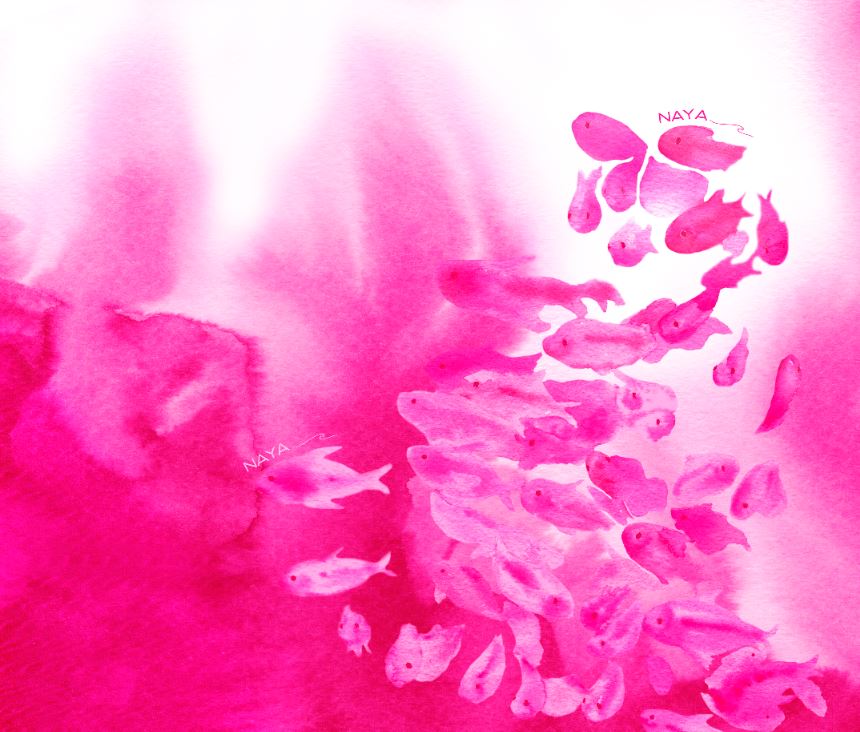 PANNEAUX PEIXINHOS PINK - detalhe - NAYA Beachwear