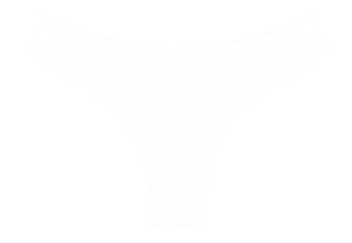 CALCINHA ASA DELTA BRANCA